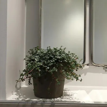 Les De L'imprimerie * Beaune (Cote d'Or)