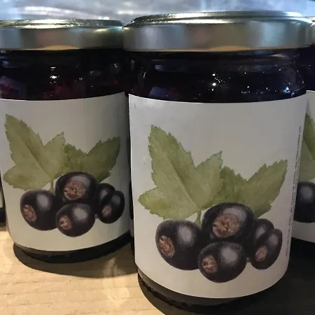 Les De L'imprimerie Frühstückspension