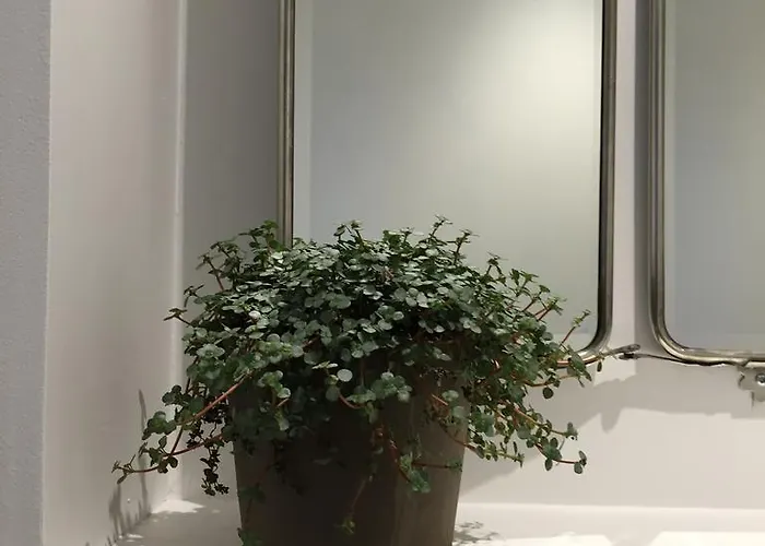 Les De L'imprimerie * Бон