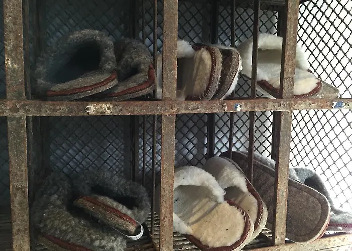 레 샹브르 드 렌프리머리 *