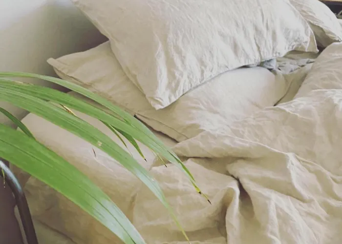 Les De L'imprimerie *