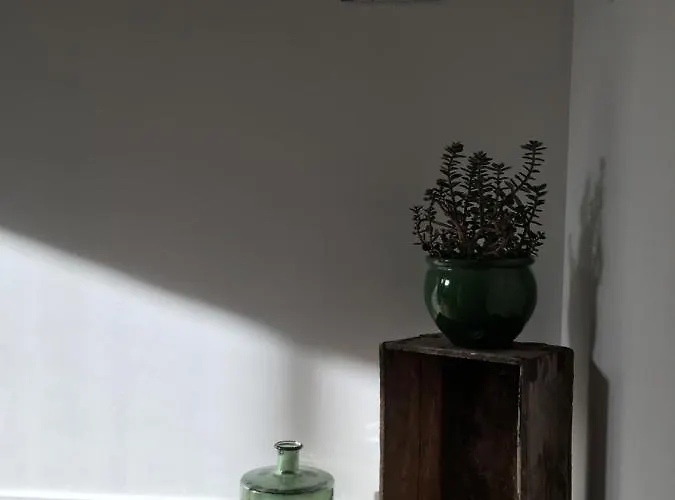 레 샹브르 드 렌프리머리 *