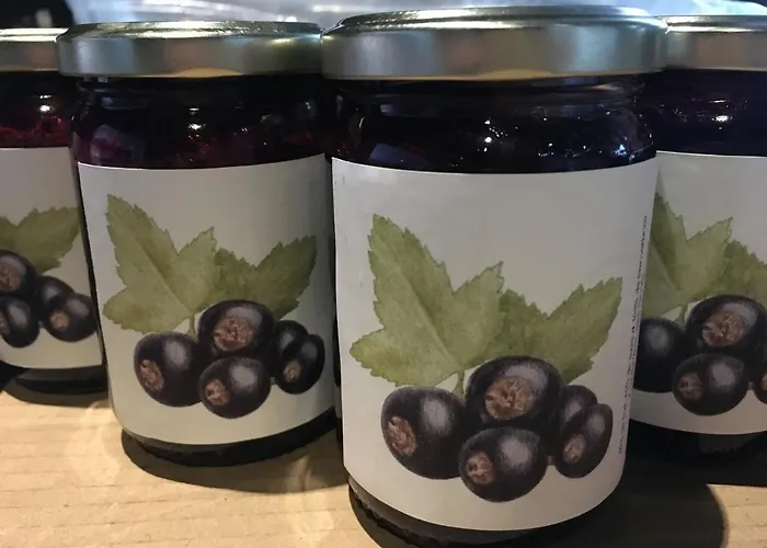 Les De L'imprimerie Готель типу 